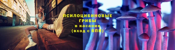 винт Арсеньев