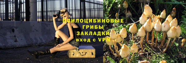 винт Арсеньев
