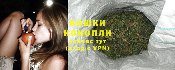 шишки Россошь